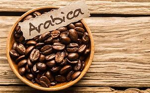 Image result for Kopi Arabica