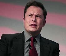 Image result for Meme Elon Musk Free Checks