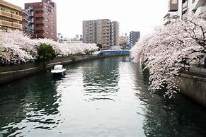 Image result for Yokohama River