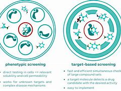 Image result for Phenotypic Drug Discovery