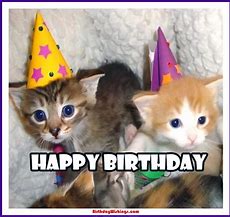 Image result for Dog and Cat Birthday Meme