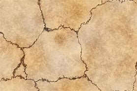 Image result for Western Style Bone Texture
