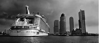 Image result for Oasis of the Seas