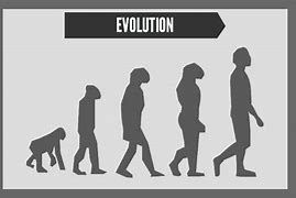 Image result for Evolution Science