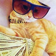 Image result for Rich Cat Meme