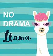 Image result for No Drama Llama Meme