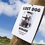 Image result for Missing Dog Poster