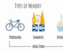 Image result for Types of Brain Memories