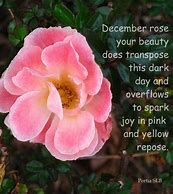Image result for Roses Happy December 31