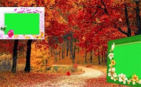 Image result for Picture Frame Green screen