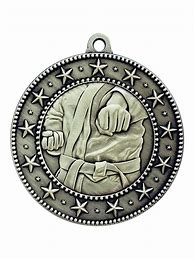 Image result for Martial Arts Medals