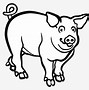 Image result for Smiling Pig Clip Art