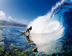 Image result for Surfer Surfing