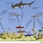 Image result for Species Interaction Diagram