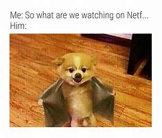 Image result for Netflix and Chill Meme