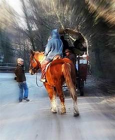 carrozze cavalli usate viaggio in carrozza sull amiata carrozze cavalli carrozze cavalli usate viaggio in carrozza sull amiata carrozze cavalli