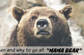 Image result for Mama Bear Instinct