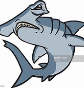 Image result for Hammerhead Shark Vector