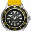 Image result for Nautica Swatch