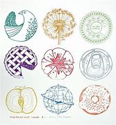 Image result for Drawings of Round Things