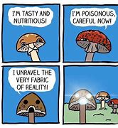 Image result for Fungi Meme
