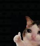 Image result for White Crying Sad Cat Meme