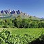 Image result for Cape Wine Route