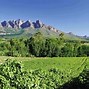 Image result for cape town wine map