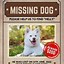 Image result for Missing Dog Poster
