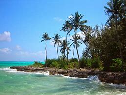 Image result for Andros Island Bahamas
