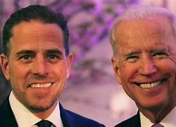 Image result for Hunter Biden Book