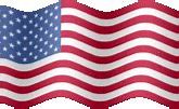 Image result for Real United States ID