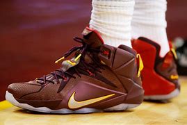 Image result for LeBron 8s