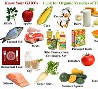 Image result for GMO Labels On Food