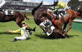 Image result for Largest Horse Jockey
