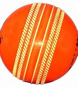 Image result for Synthetic Cricket Pitch