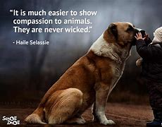 Image result for Animal Quotes by Famous People