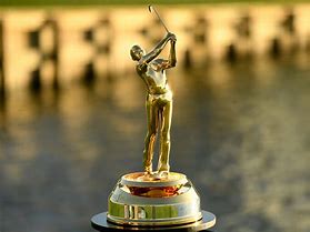 Image result for Club World Championship Trophy