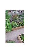 Image result for My Backyard