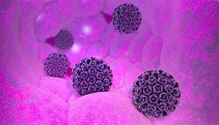 Image result for HPV Cells