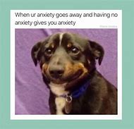 Image result for Memes About Stress and Anxiety