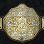 Image result for Professional Wrestling Championship Belts