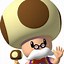 Image result for Toad No Hat