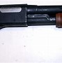 Image result for Winchester 12 Gauge 1100