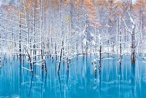 Image result for Blue Pond Biei Hokkaido Japan
