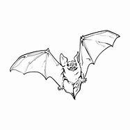 Image result for Vampire Bat Cartoon Black and White