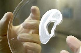 Image result for 3D Printing Human Ear