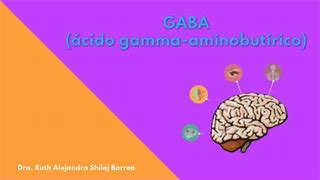 Image result for Gaba Meme