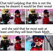 Image result for Miraculous Ladybug Hawk Moth Memes