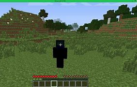 Image result for Invisible Skin in Minecraft